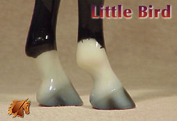 Little Bird - ISH Special Run