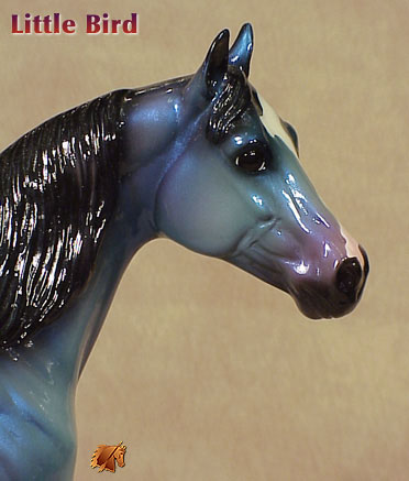 Little Bird - ISH Special Run