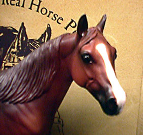 Pressed For Change, Queens Horse ISH Special Run