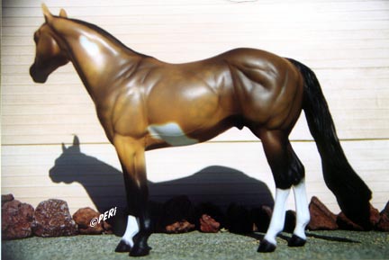 Sho Me 5 ISH Special Run