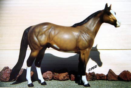 Sho Me 5 ISH Special Run