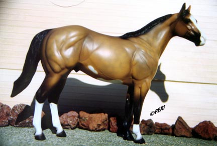 Sho Me 5 ISH Special Run