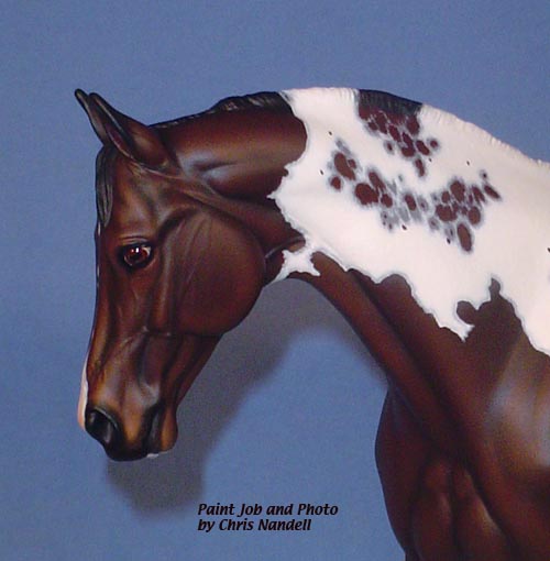 Victrix Painted by Chris Nandell