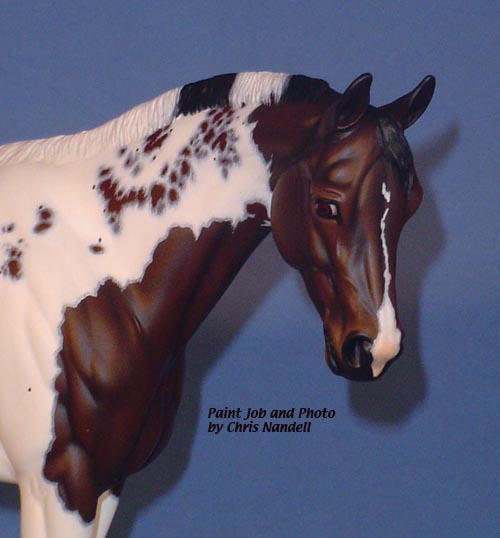 Victrix Painted by Chris Nandell