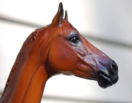 ValorHP Painted by Janis Whitcomb