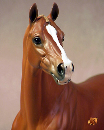 ValorHP #1 Painted by C. Williams