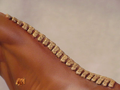 ValorHP #1 Painted by C. Williams