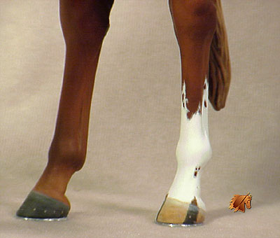 ValorHP #1 Painted by C. Williams