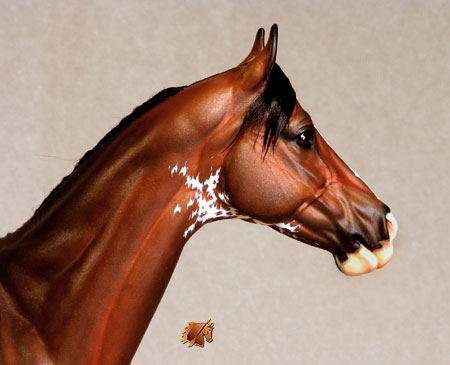 ValorHP #2 Painted by C. Williams