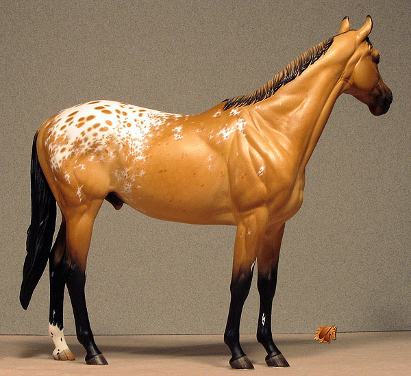 Valor #2 Painted by C. Williams