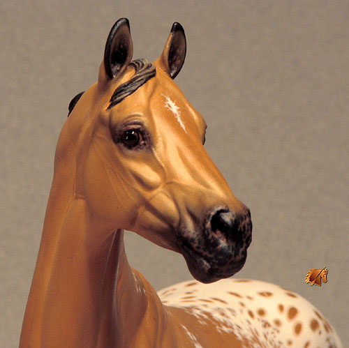 Valor #2 Painted by C. Williams