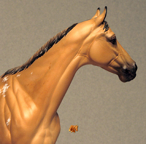 Valor #2 Painted by C. Williams