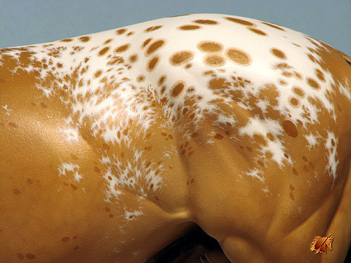 Valor #2 Painted by C. Williams