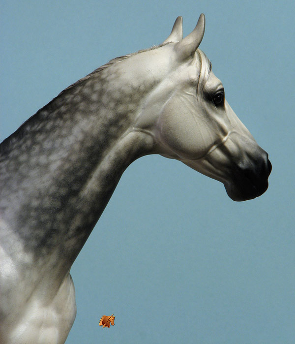 ValorHP #4 Painted by C. Williams