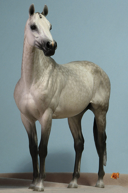 ValorHP #5 Painted by C. Williams