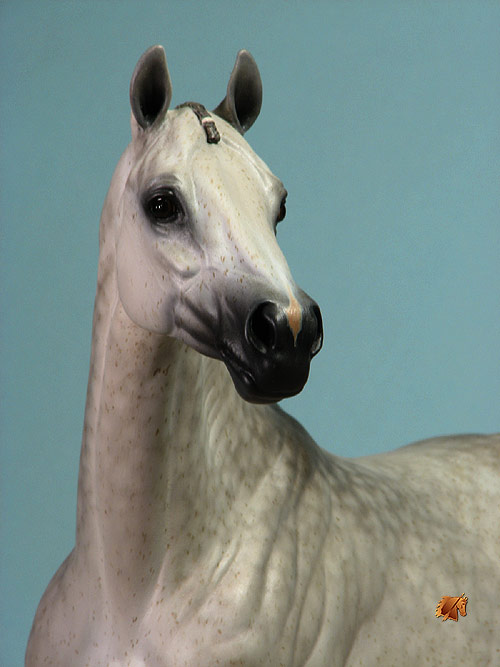 ValorHP #5 Painted by C. Williams