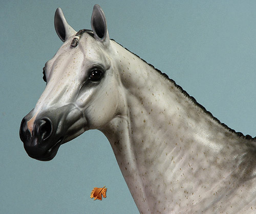 ValorHP #5 Painted by C. Williams