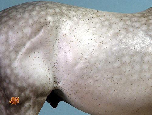 ValorHP #5 Painted by C. Williams