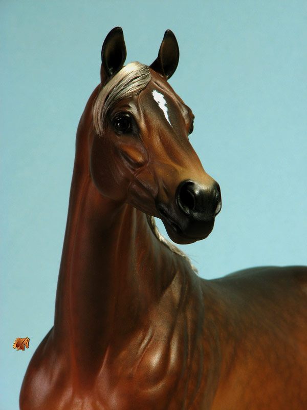 ValorHP #6 Painted by C. Williams