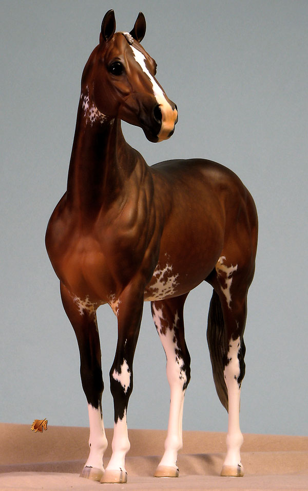 ValorHP #7 Painted by C. Williams