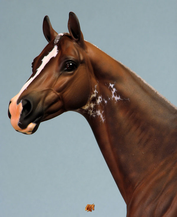 ValorHP #7 Painted by C. Williams