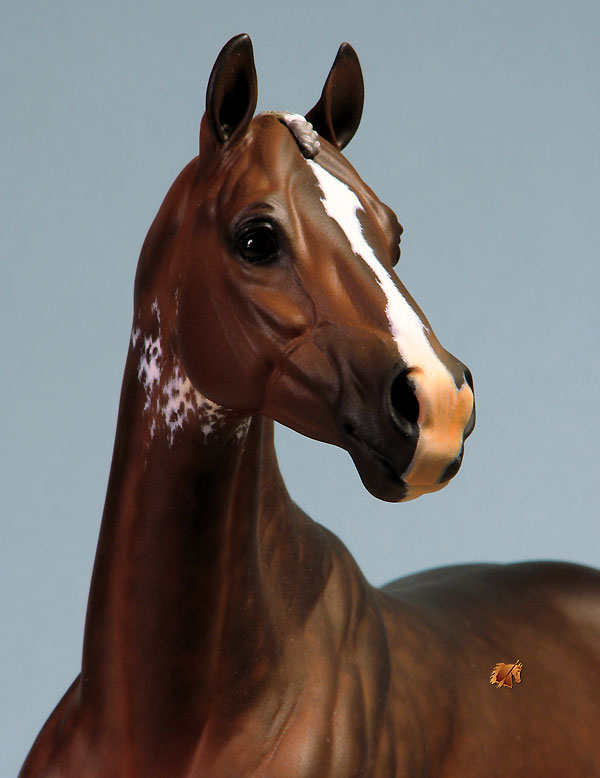 ValorHP #7 Painted by C. Williams