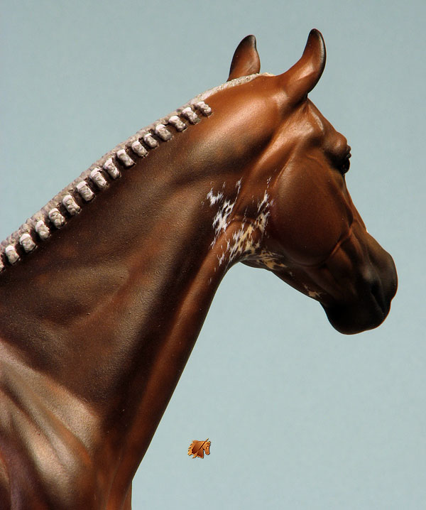 ValorHP #7 Painted by C. Williams