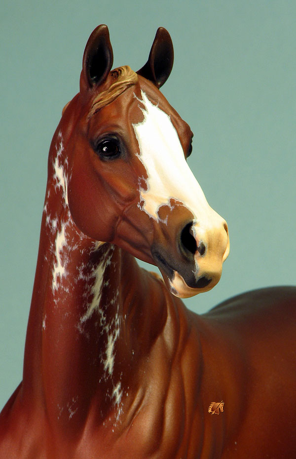 Valor #8 Painted by C. Williams