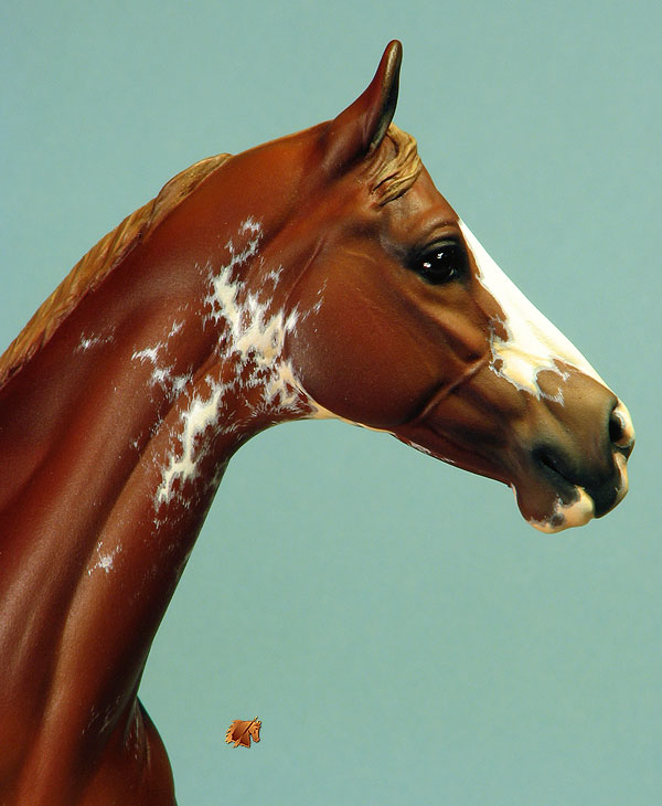 Valor #8 Painted by C. Williams