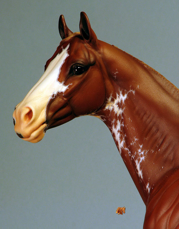 Valor #8 Painted by C. Williams