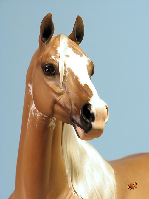 ValorHP #8 Painted by C. Williams