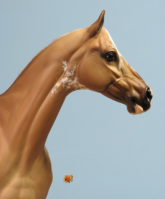 ValorHP #8 Painted by C. Williams