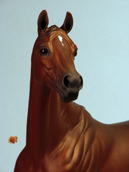 Valor #10 Painted by C. Williams