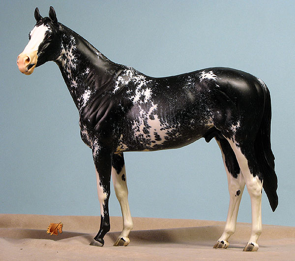 Valor #11 Painted by C. Williams