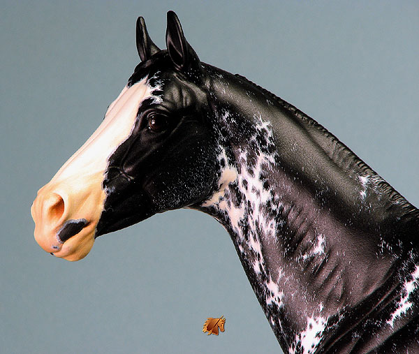 Valor #11 Painted by C. Williams