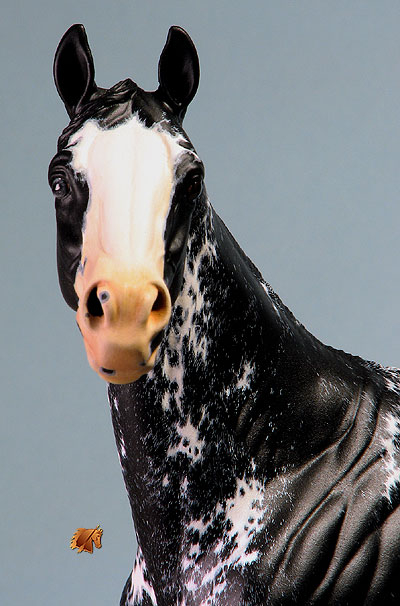 Valor #11 Painted by C. Williams