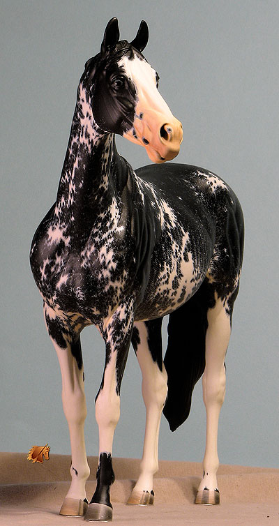 Valor #11 Painted by C. Williams