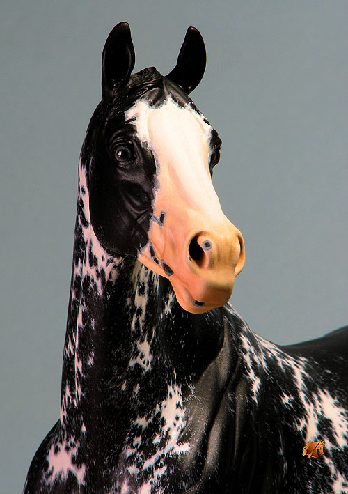 Valor #11 Painted by C. Williams