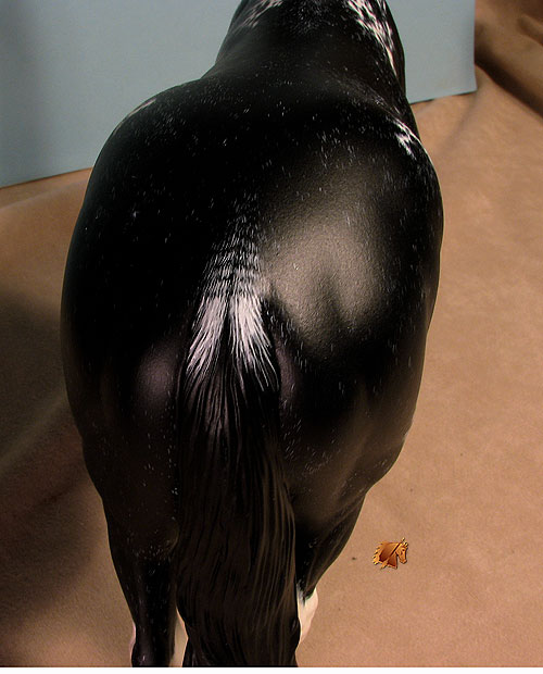 Valor #11 Painted by C. Williams