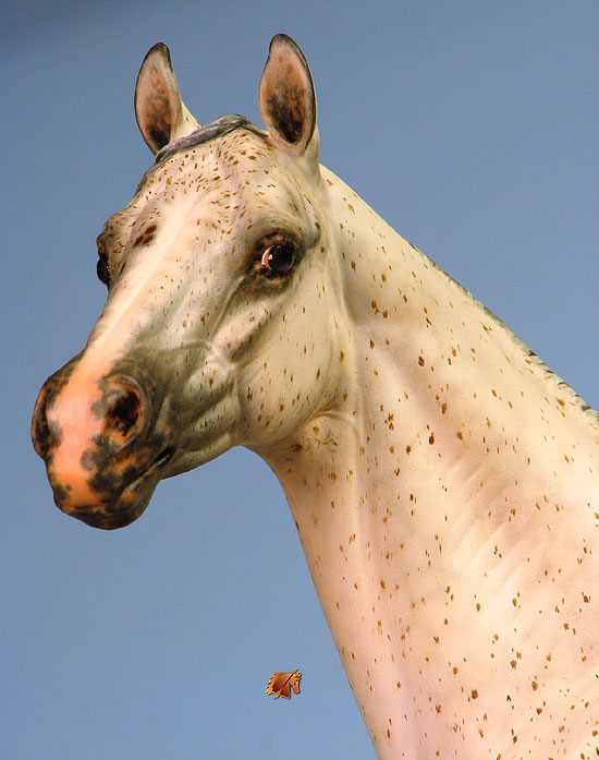 Valor #14 Painted by C. Williams