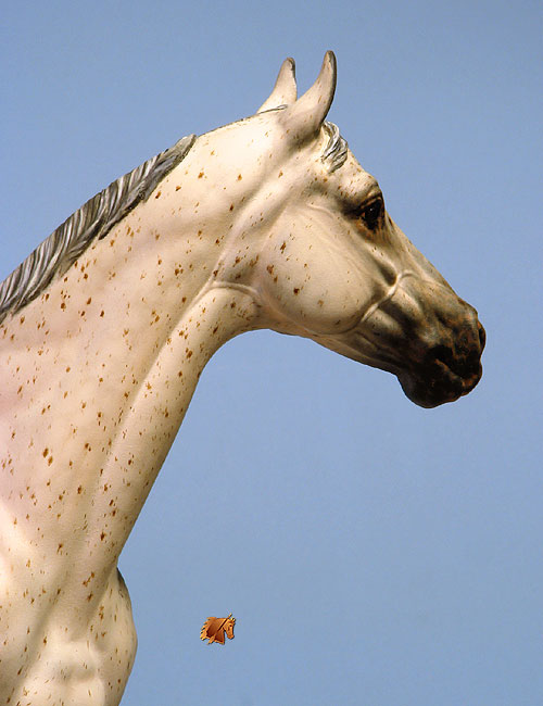 Valor #14 Painted by C. Williams