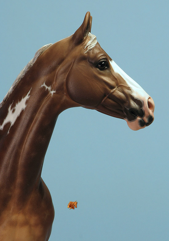 Valor #15 Painted by C. Williams