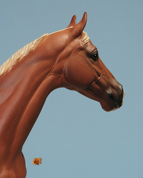 Valor #16 Painted by C. Williams