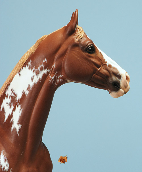 Valor #17 Painted by C. Williams