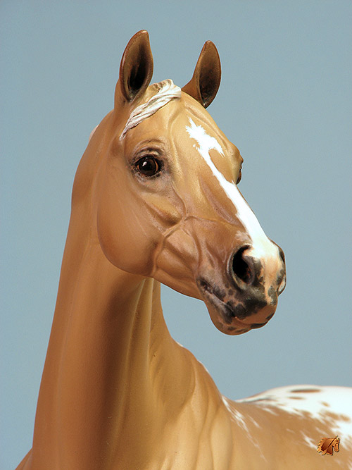 Valor #19 Painted by C. Williams