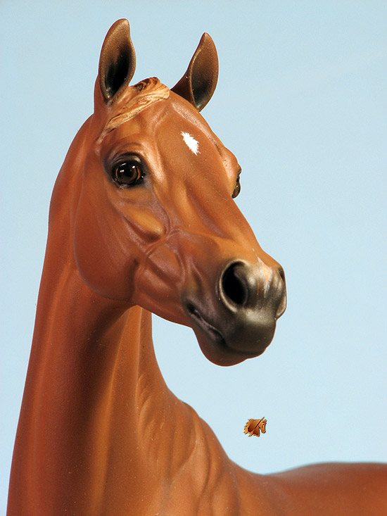 Valor #21 Painted by C. Williams