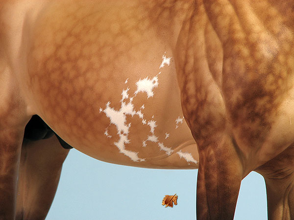 Valor #22 Painted by C. Williams