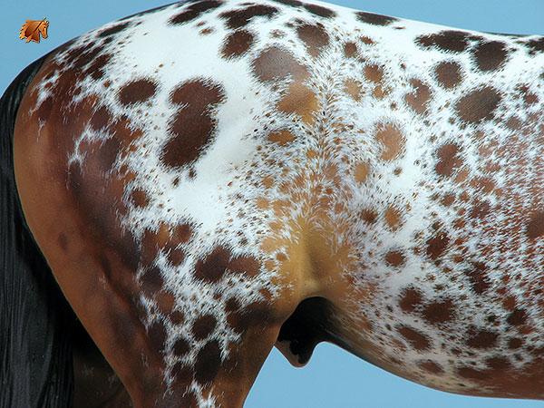 Valor #23 Painted by C. Williams