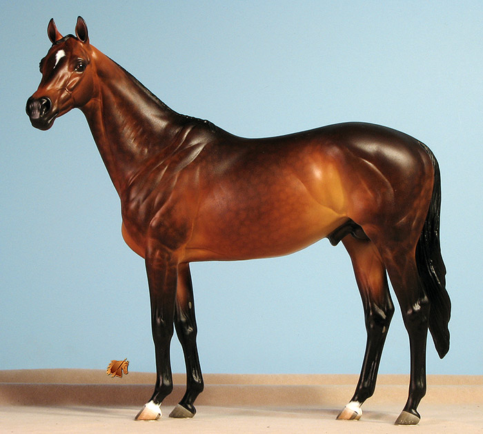 Valor #24 Painted by C. Williams