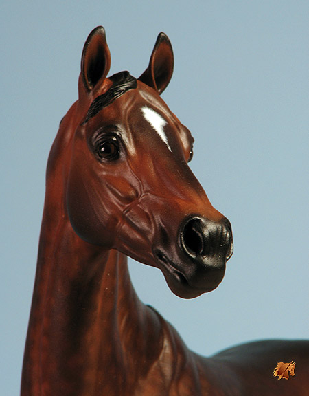 Valor #24 Painted by C. Williams